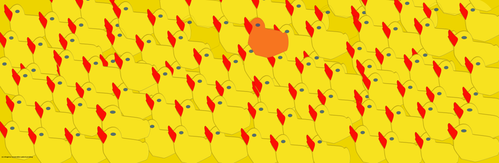 many ducks