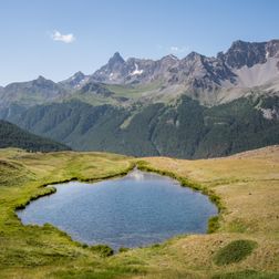 Lac5LN