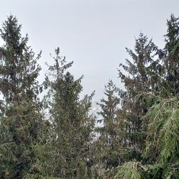 20240418_093052