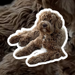 Winston