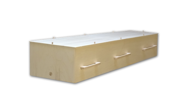 casket in a box