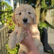 IMG_20210902_220705_918