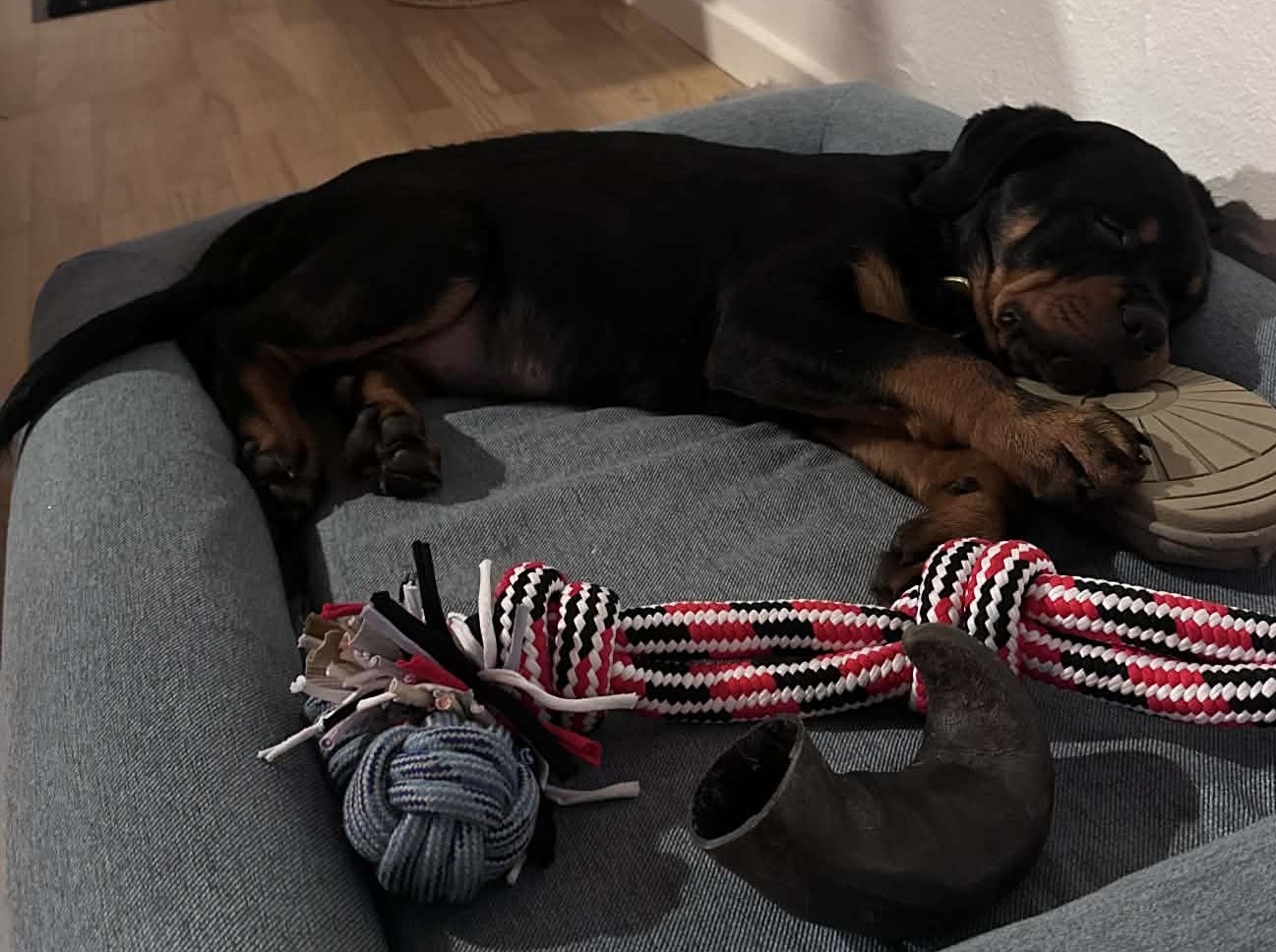 Nighty tager en hviler efter leg