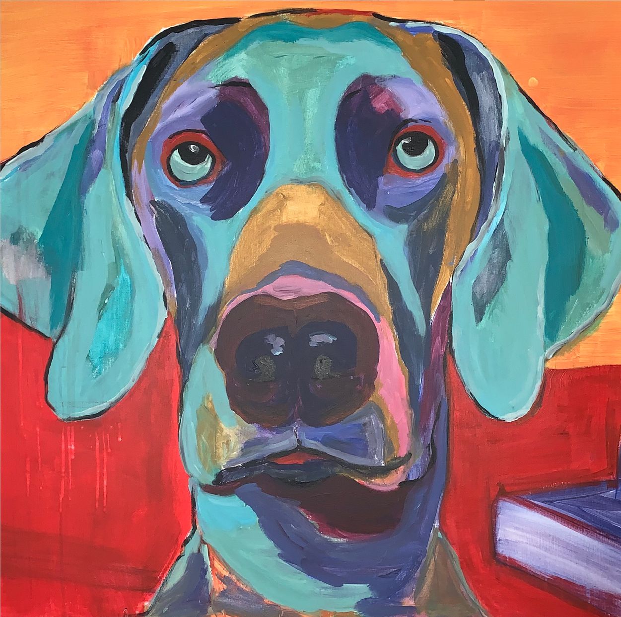 Weimaraner