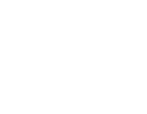 Color Life Vitality