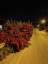IMG_20230707_215615