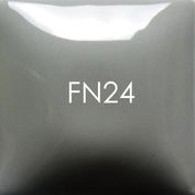 FN24_Gray
