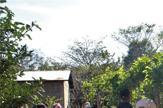 Inspecting the lush garden at Nandarola