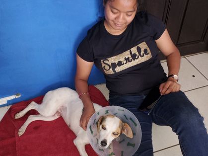 Sonia and Veronica enjoying post surgery snuggles 