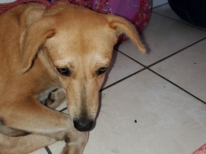 Flaka feeling stressed before the operation