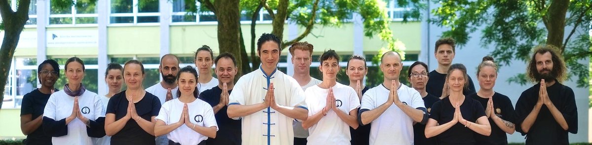 journey into oneself, Shi Heng Zuan, connected movements journey into oneself, Shi Heng Zuan, connected movements