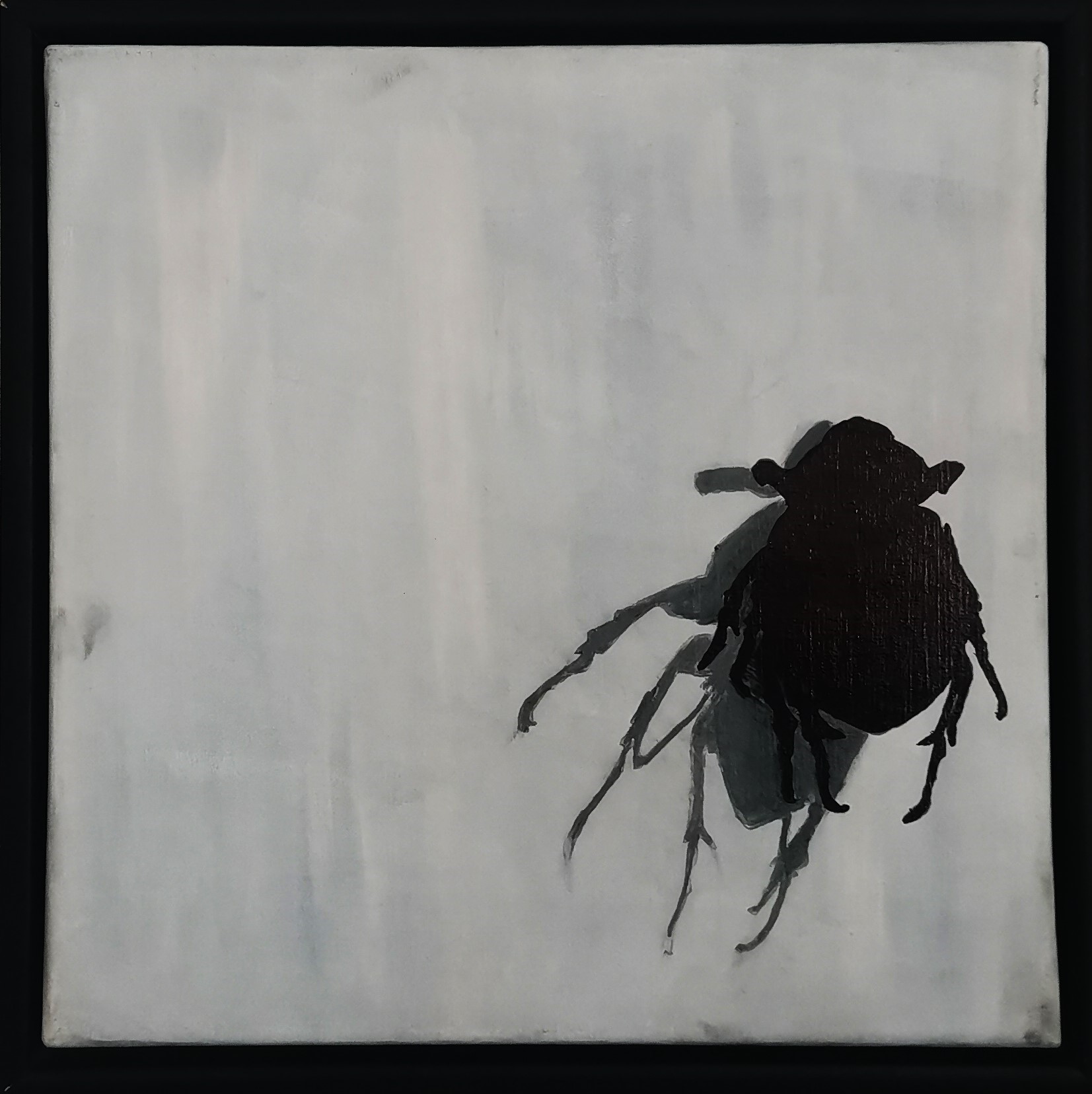 FLY - 40x40 - Akryl