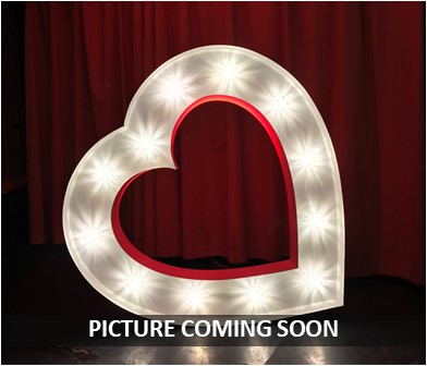 Holiday Inn Washington | LED Dance floor | Wedding DJ | Wedding Decor