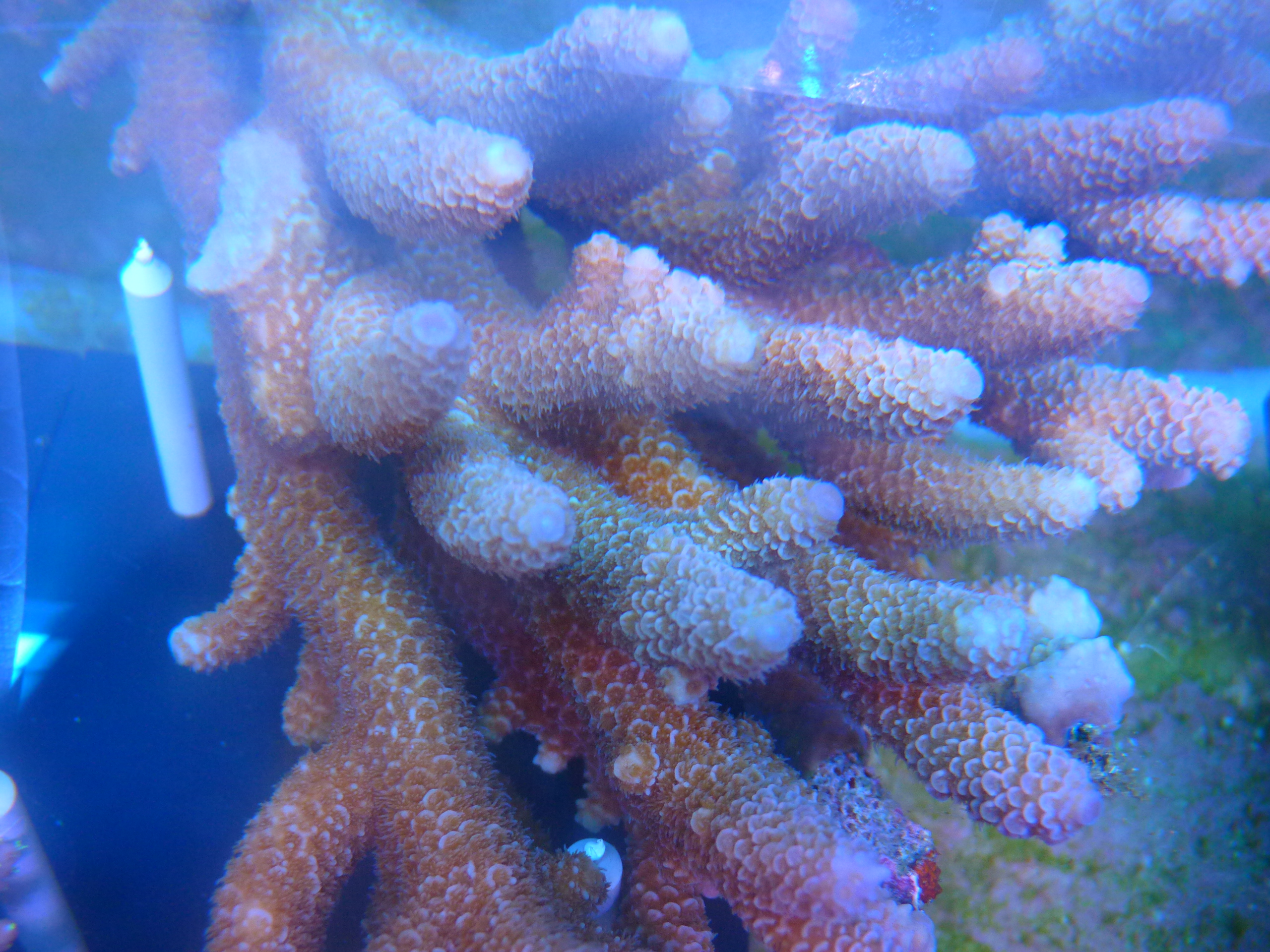 P1030572