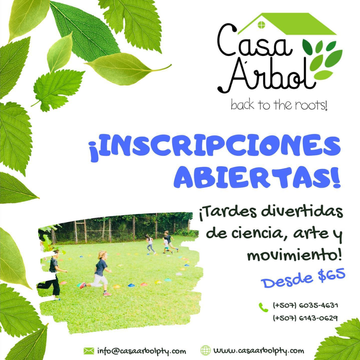 Casa Árbol Promotional