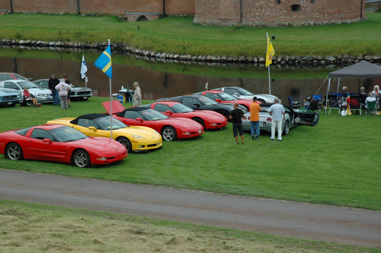 Thulinträffjuli2011018