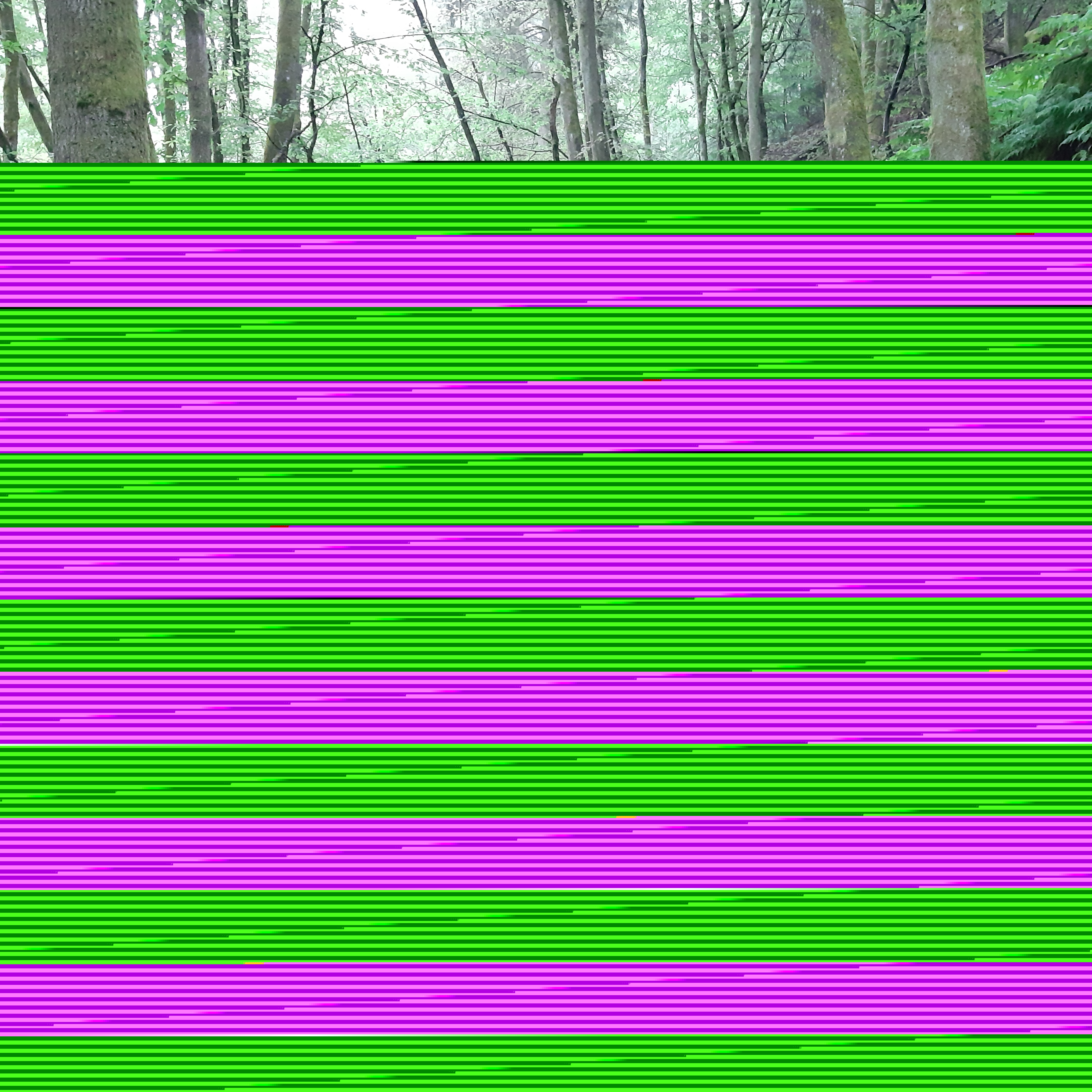 20220605_084116