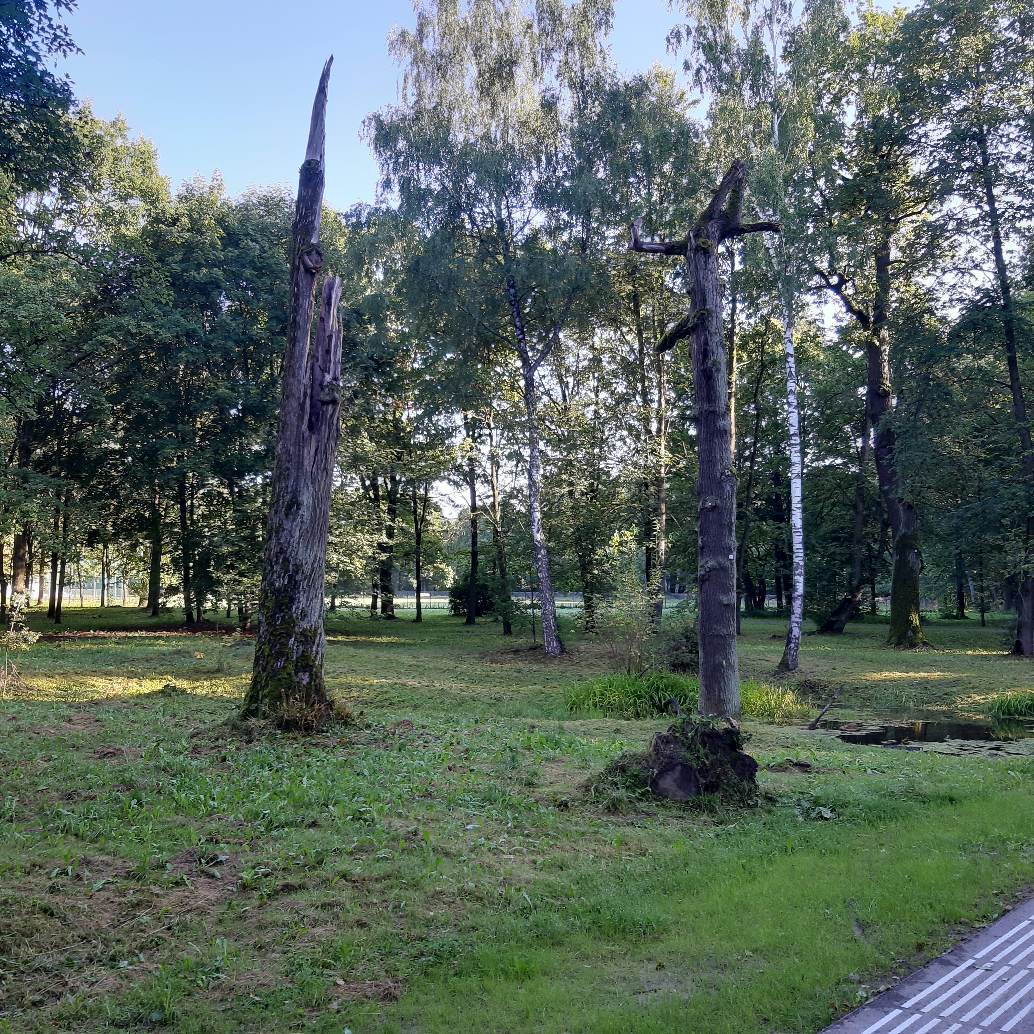 20220807_080251