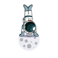 Cosmos Gym
