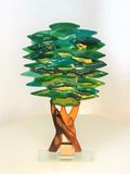 summer tree