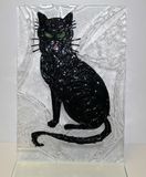 cat noir