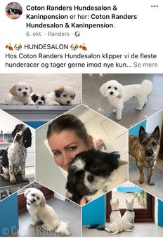 Facebook 3