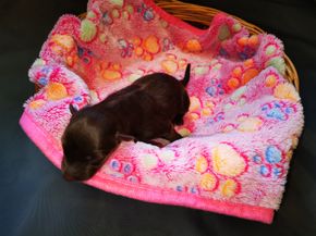 IMG_20230907_122529