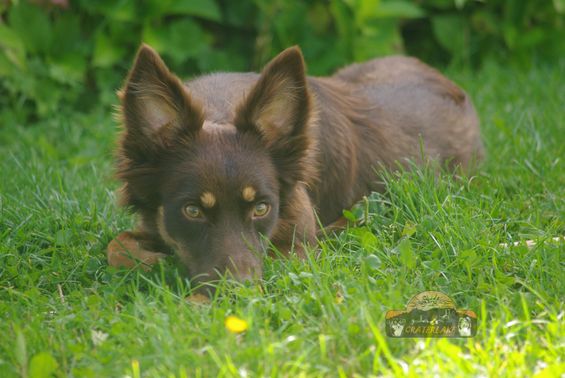 Chenoa. 1 Jahr_1000017313