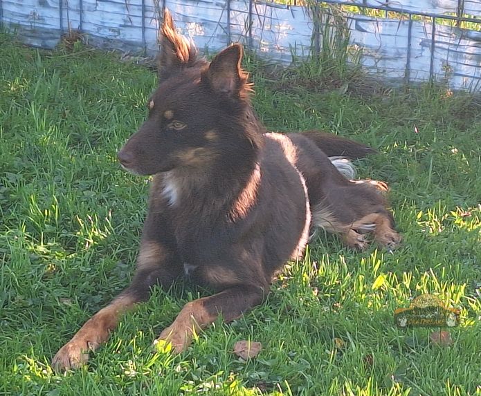 Chenoa_1730007116677_Blick wie Grace und Primus