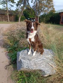 IMG-20220903-WA0004.Krimi im Park.2