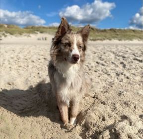 Dingle_20220924_121818