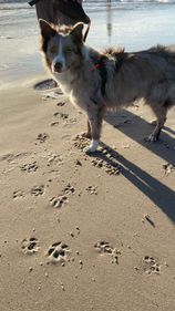IMG-20220827-WA0004