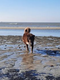 IMG-20230108-WA0038