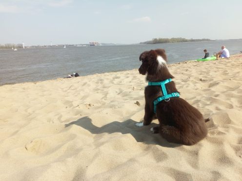 Eliza am Elbstrand 01