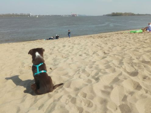 Eliza am Elbstrand 02