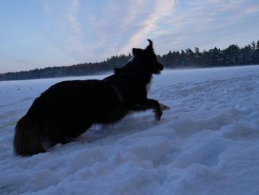 IMG-20210131-WA0015