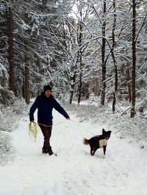 IMG-20210131-WA0017.1