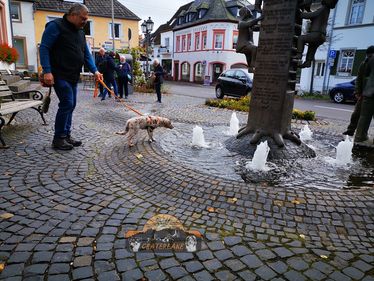 IMG_Kylie erster Ausflug.8.1