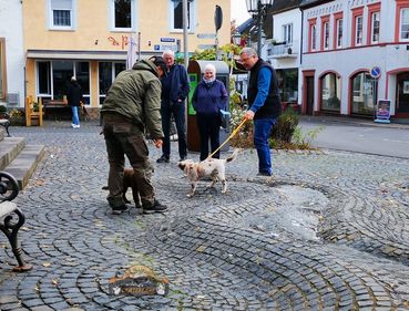 IMG_Kylie erster Ausflug.9.1