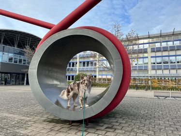 IMG_2047