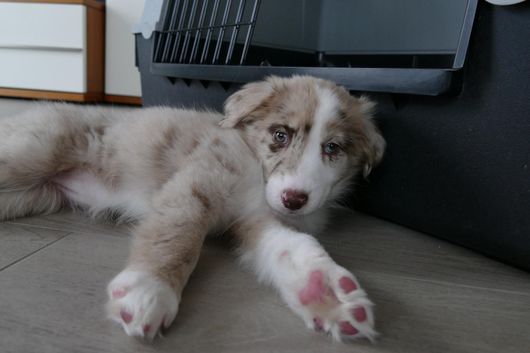 Kira.3