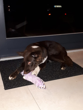 Eliza 24.12.19