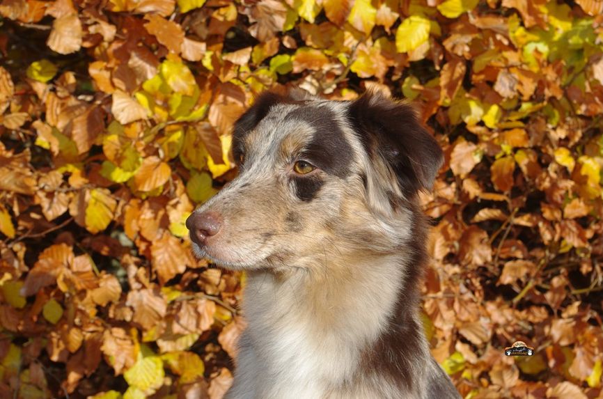 Grace.Herbst.1