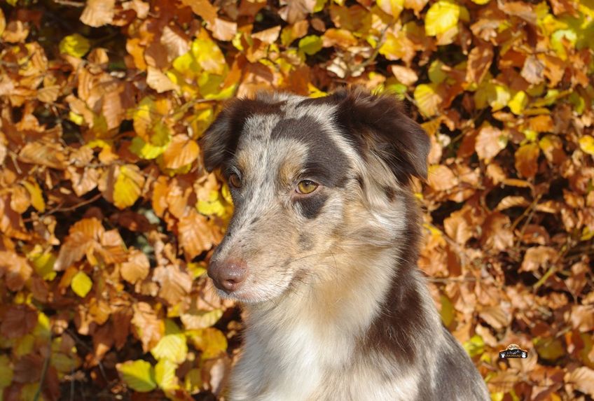 Grace.Herbst.2_edited1