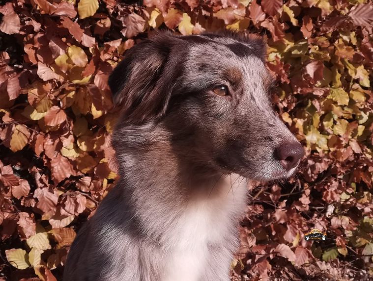 Grace.Herbst.5.1