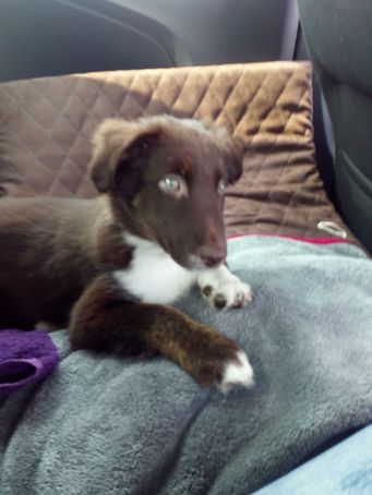 IMG-20200329-WA0008.Eliza