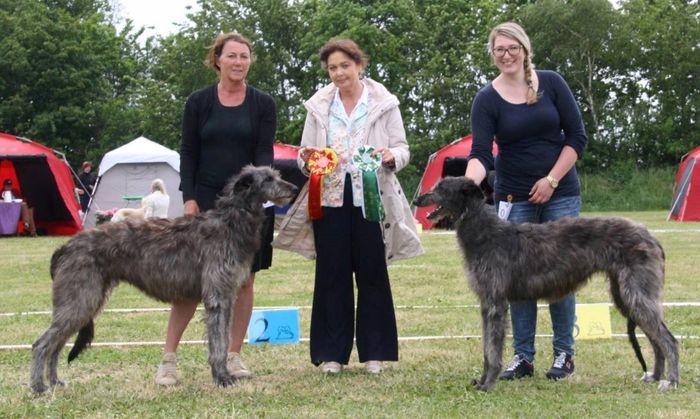 Hasmark May 2016: 
Crathlinint Cian Cedric BOB & Crathlint Dorthy Del BOS