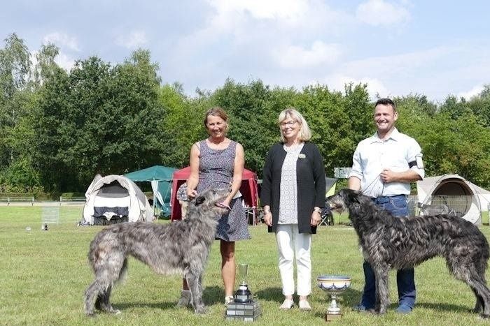 INTCH, NordicCH, DKCH, SEUCH, NOCH, German VDH & DWZRV CH, Jahressieger 2016 Fritzens Celeste winning the annual german deerhound speciality 2016. Judge: Ingela Kyrklund. (84 enteries) - BOS was Landlord von der Oelmühle, owner Florent Friedrich, France. Photo: Björn Fritz.