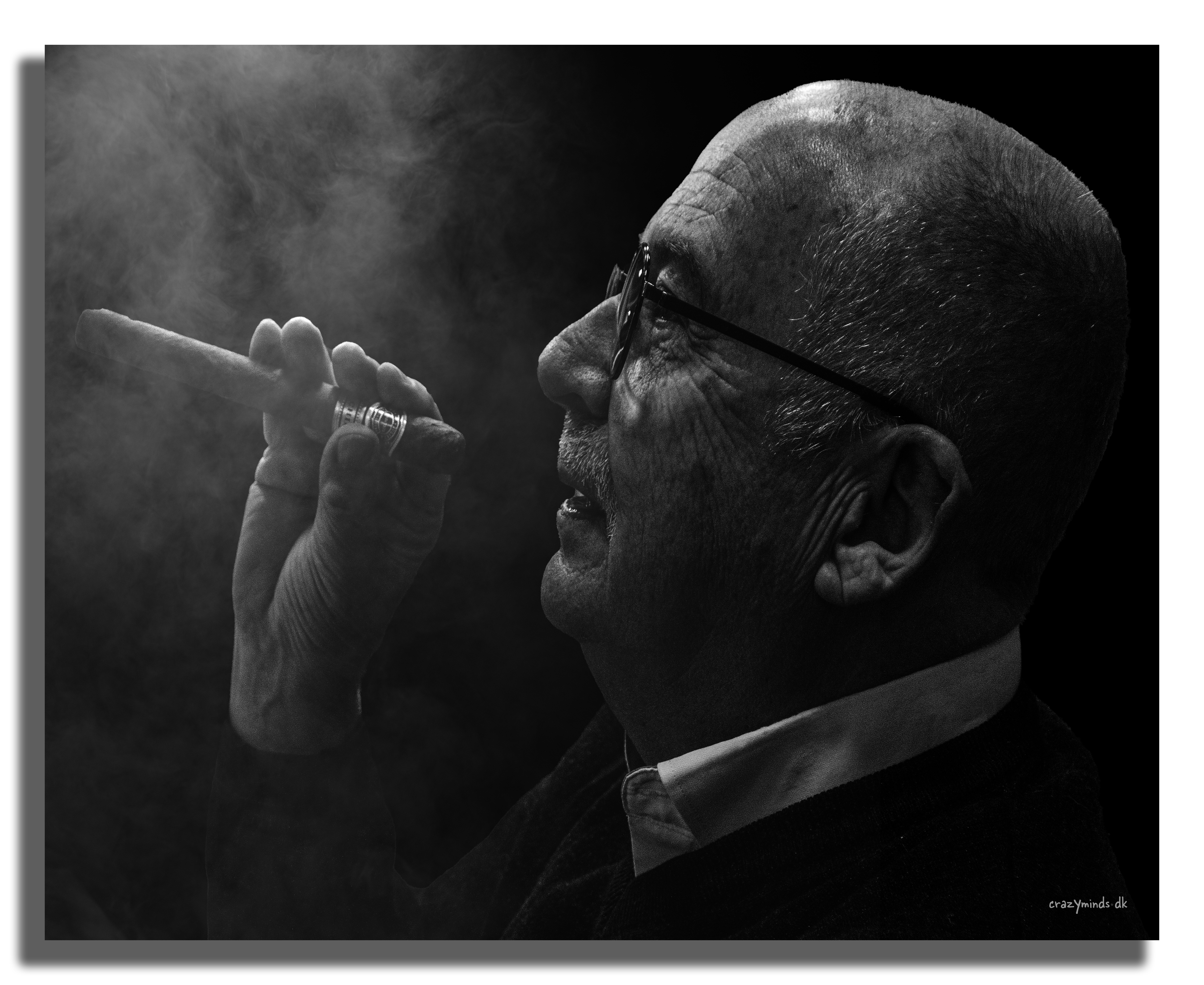 Benny og havaneseren