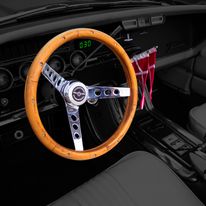 Ford Thunderbird rat